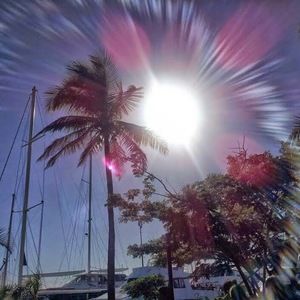 Meet your Posher, Yoli